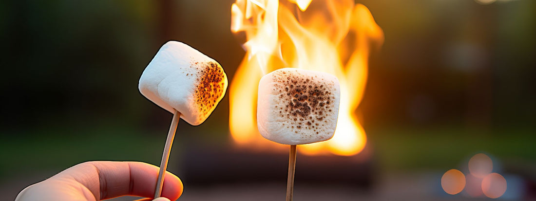 Marshmallows grillen für den perfekten Familienabend